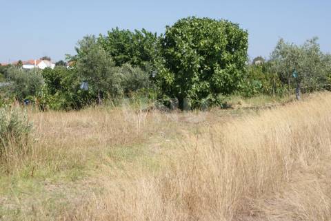 Quintinha para Venda no Ladoeiro