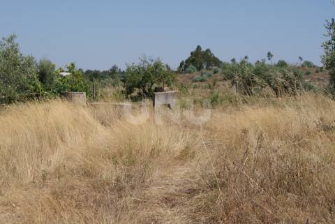 Quintinha para Venda no Ladoeiro