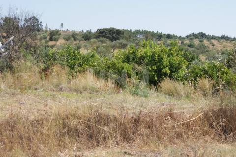 Quintinha para Venda no Ladoeiro