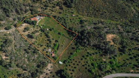 Quinta T3 com 14 630m2 de área