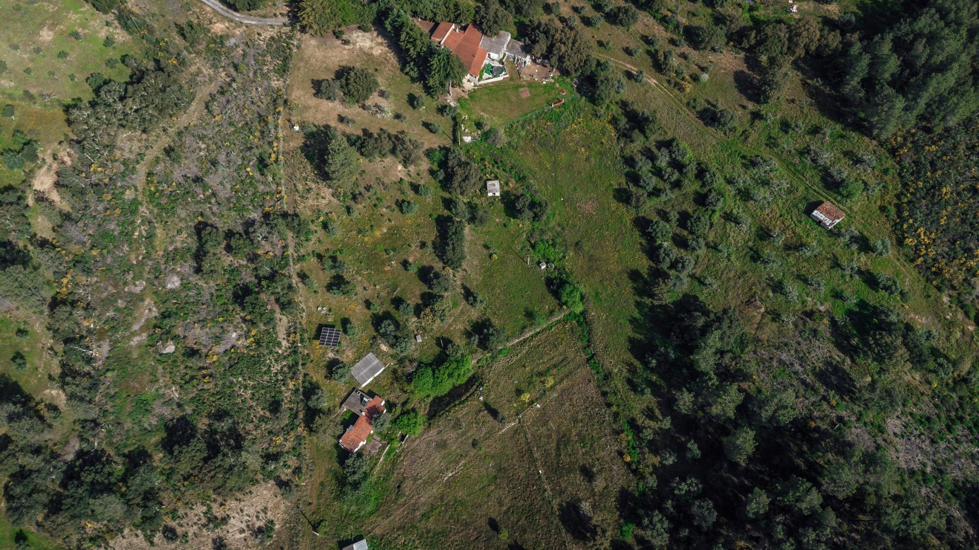 Quinta T3 com 14 630m2 de área