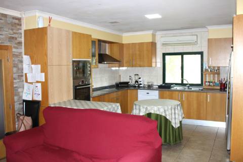 Quinta T3 com 14 630m2 de área