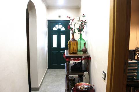 Quinta T3 com 14 630m2 de área