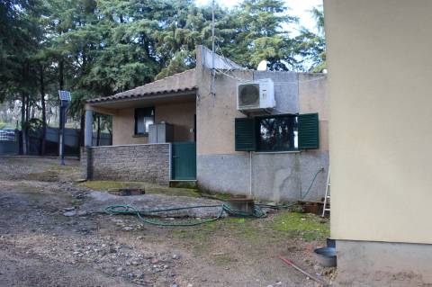Quinta T3 com 14 630m2 de área
