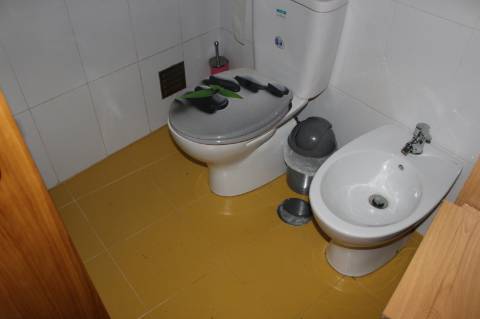 Quinta T3 com 14 630m2 de área