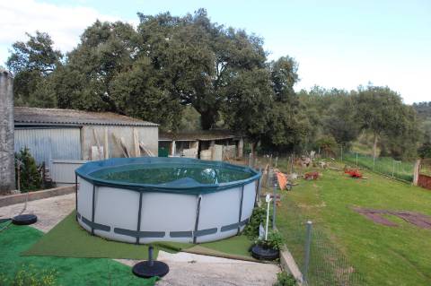 Quinta T3 com 14 630m2 de área