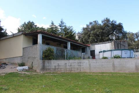 Quinta T3 com 14 630m2 de área