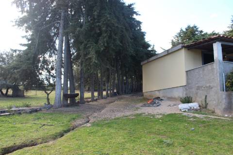 Quinta T3 com 14 630m2 de área