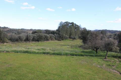 Quinta T3 com 14 630m2 de área