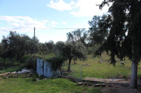 Quinta T3 com 14 630m2 de área