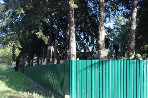 Quinta T3 com 14 630m2 de área