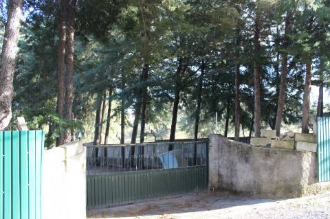 Quinta T3 com 14 630m2 de área