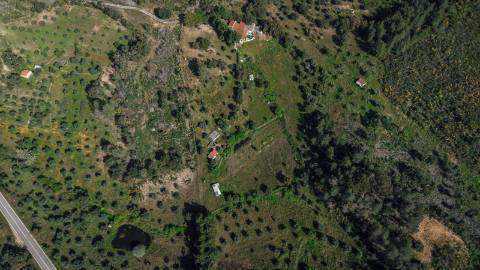 Quinta T3 com 14 630m2 de área