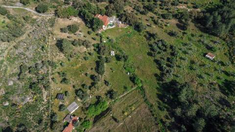 Quinta T3 com 14 630m2 de área