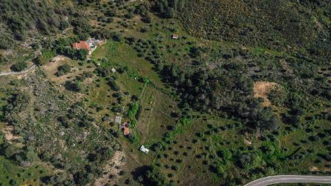 Quinta T3 com 14 630m2 de área