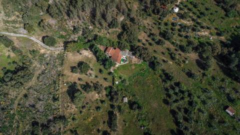 Quinta T3 com 14 630m2 de área