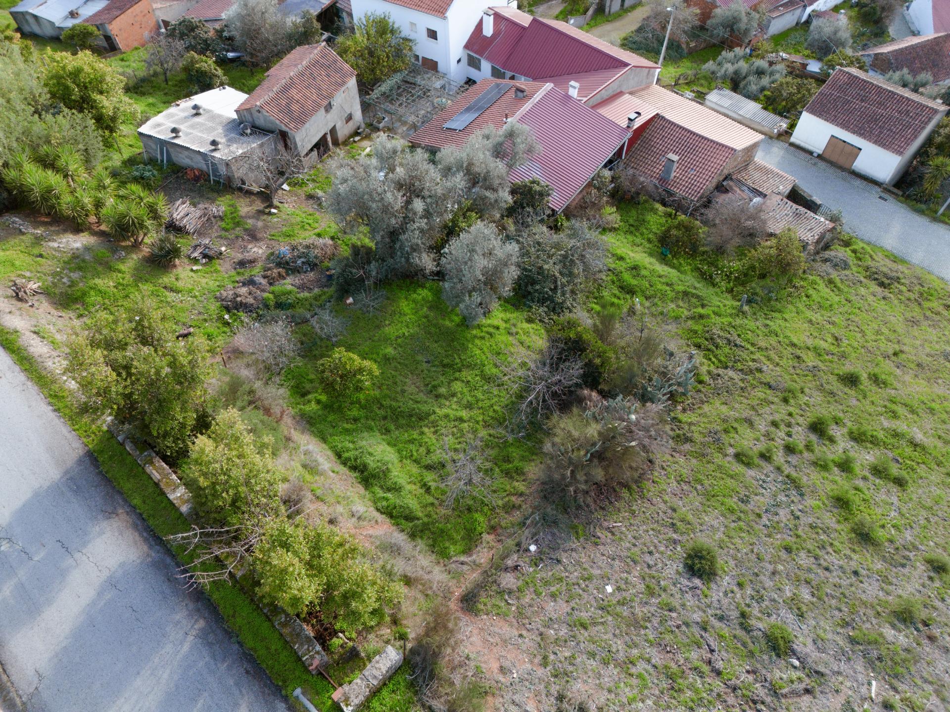 Moradia T3 com Logradouro