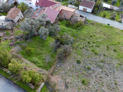 Moradia T3 com Logradouro