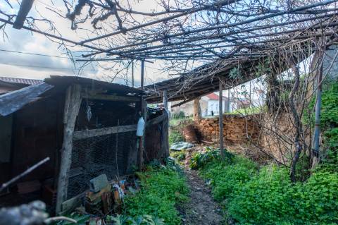 Moradia T3 com Logradouro