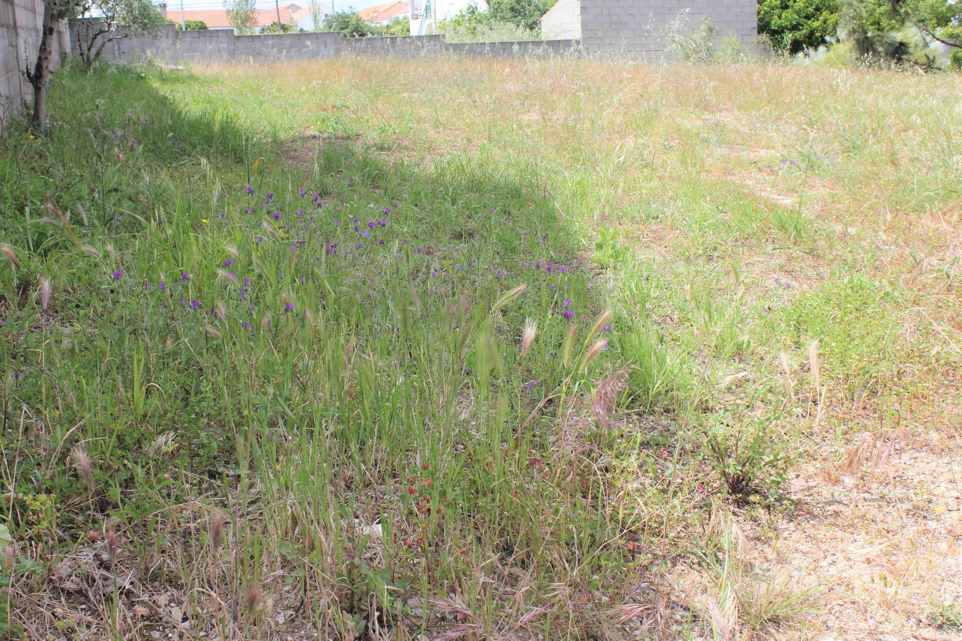 Terreno Urbano com 525m2 de área