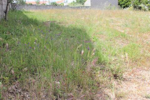 Terreno Urbano com 525m2 de área