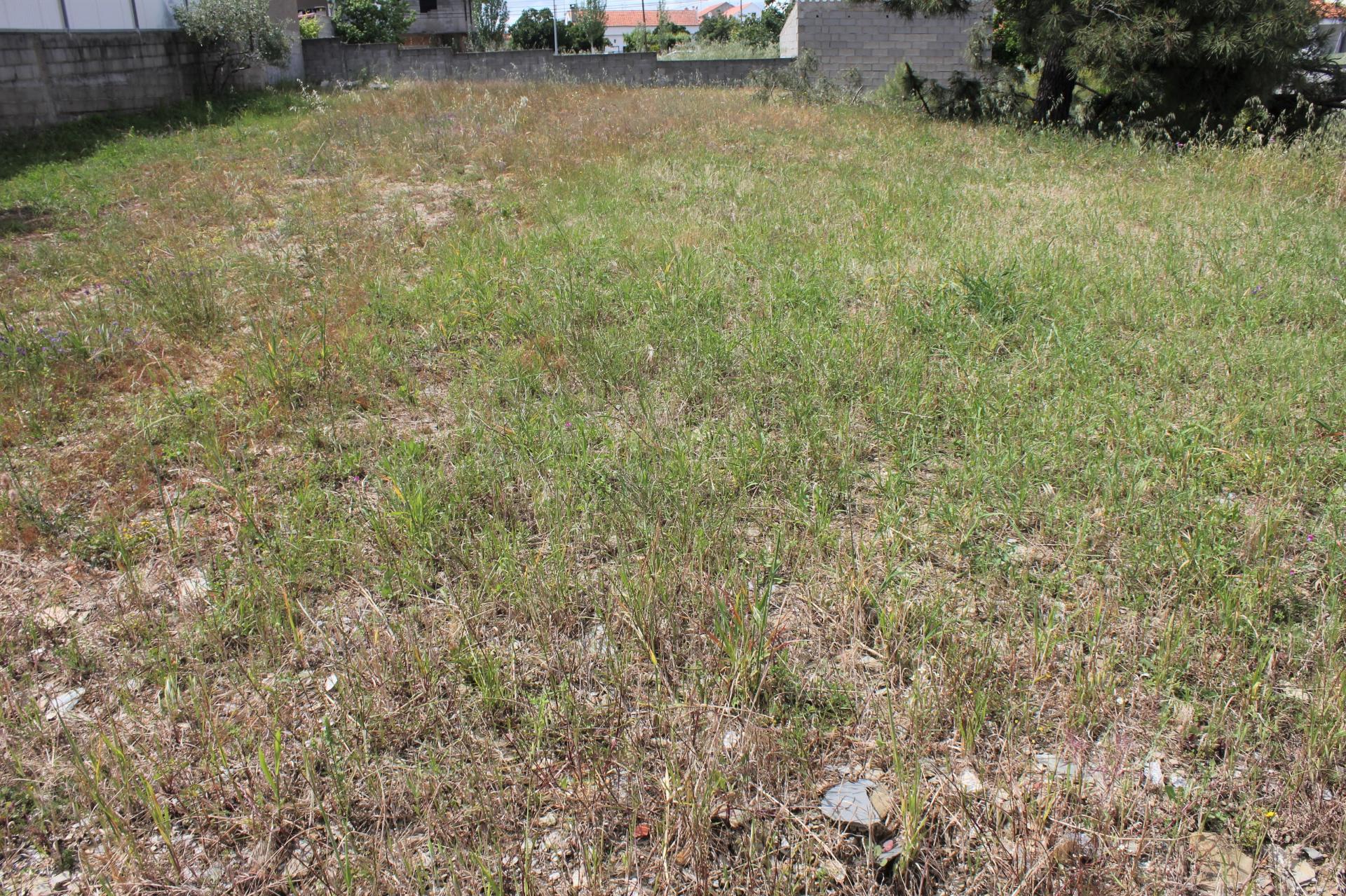Terreno Urbano com 525m2 de área
