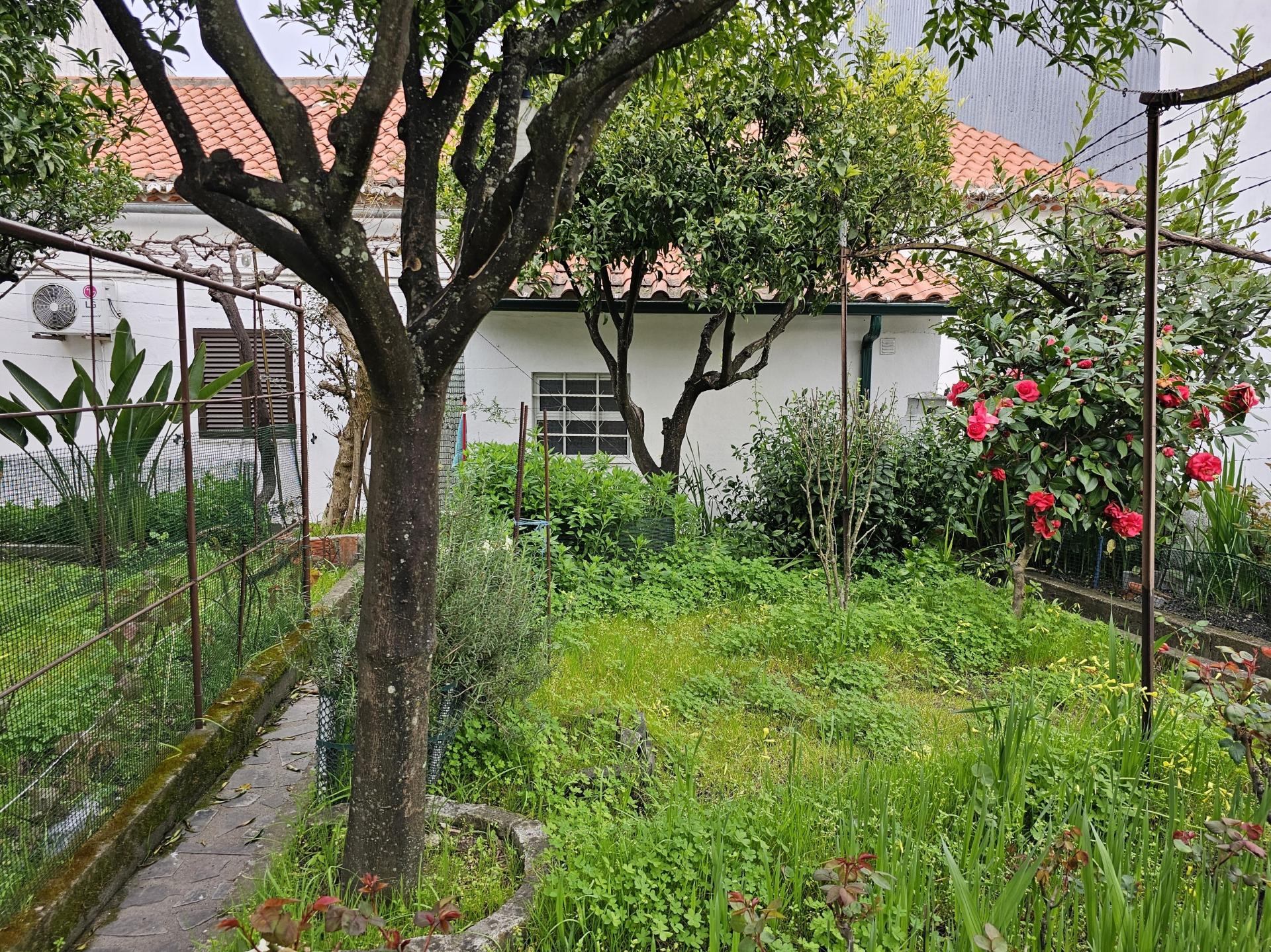 Moradia T3 com Garagem e Logradouro