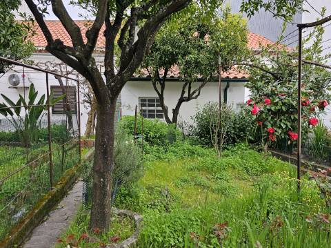 Moradia T3 com Garagem e Logradouro