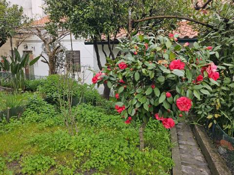 Moradia T3 com Garagem e Logradouro