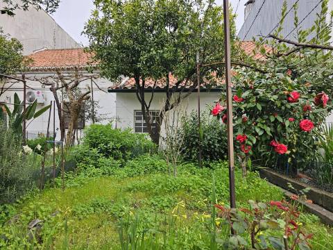 Moradia T3 com Garagem e Logradouro