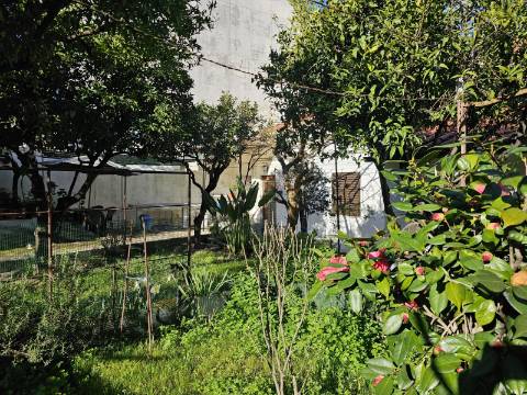 Moradia T3 com Garagem e Logradouro