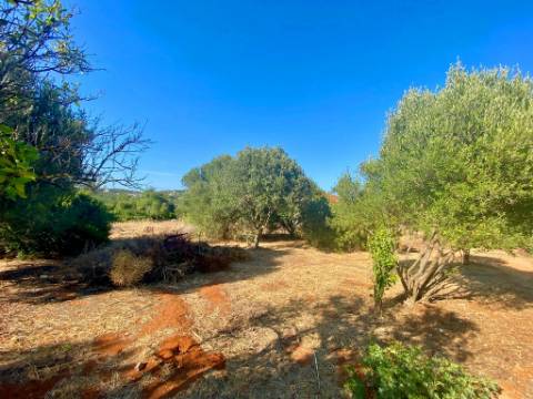 Terreno para construção de 10 moradias no centro com projeto aprovado - Almancil
