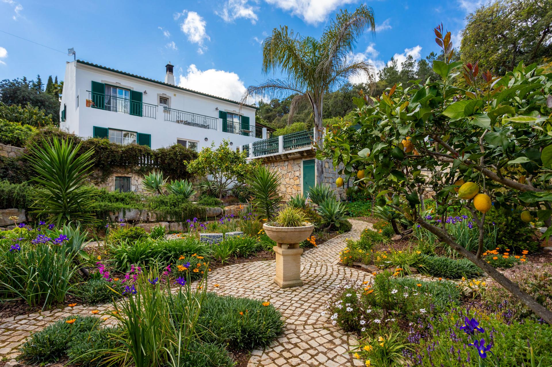 EXCLUSIVIDADE!

VENDIDA POR ' TA MAISON DE RÊVE'