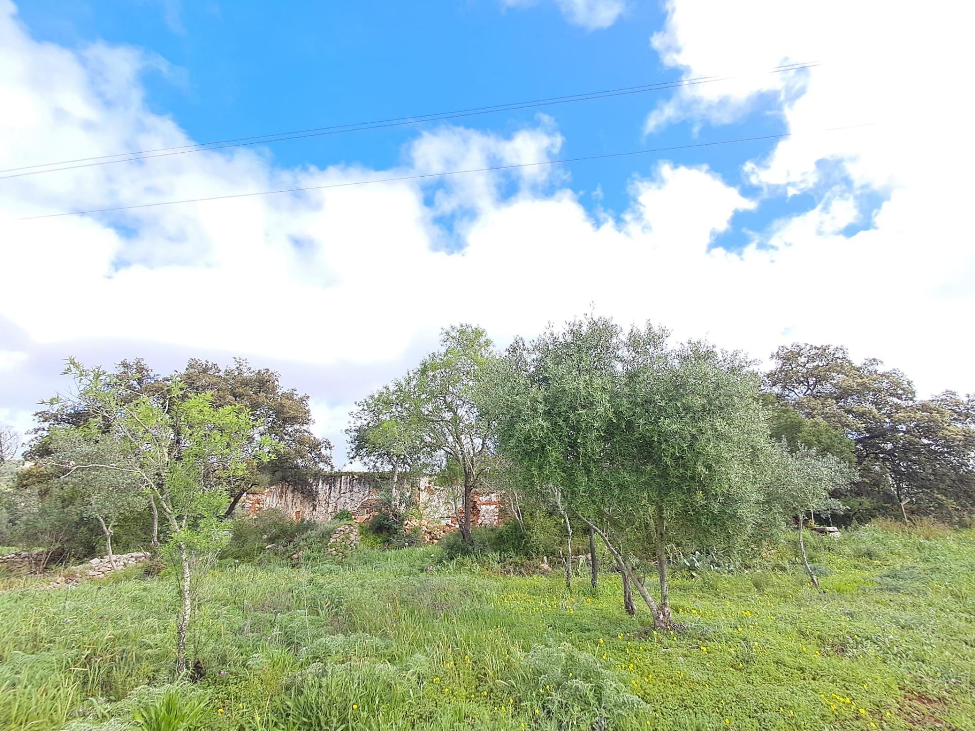 Terreno com Projeto Aprovado - Loulé
| Projeto para Moradia Térrea T3+1