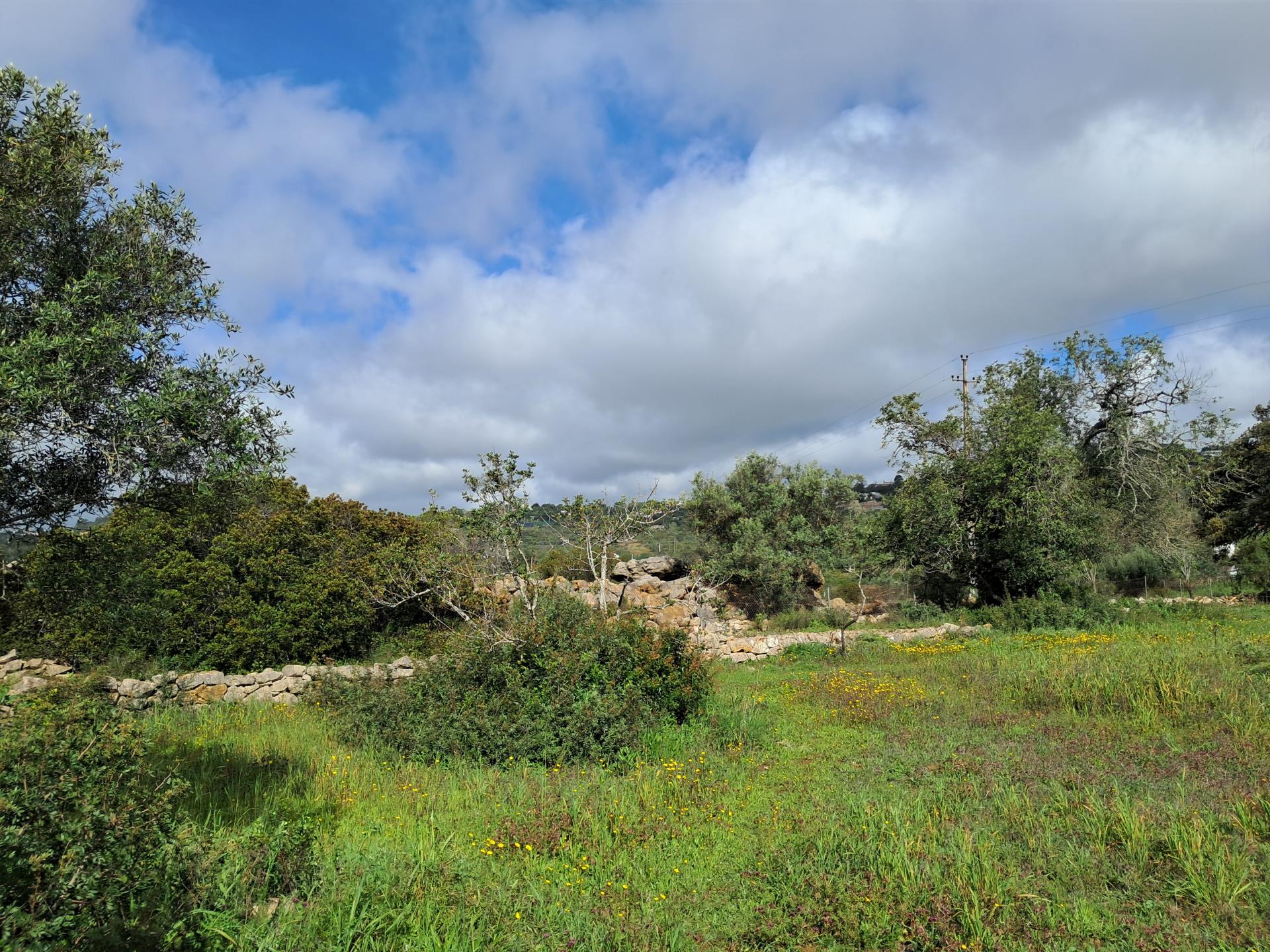 Terreno com Projeto Aprovado - Loulé
| Projeto para Moradia Térrea T3+1