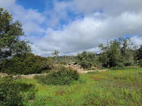 Terreno com Projeto Aprovado - Loulé
| Projeto para Moradia Térrea T3+1