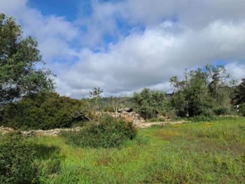 Terreno com Projeto Aprovado - Loulé
| Projeto para Moradia Térrea T3+1