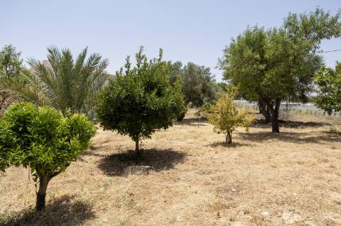 Bela propriedade com potencial de ampliação - Vale Telheiro , Loulé