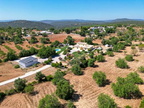Boliqueime Moradia de Campo com 4+1 Quartos com18.350 m² de Terreno para Venda