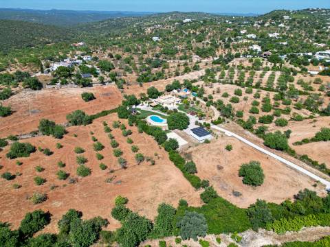 Boliqueime Moradia de Campo com 4+1 Quartos com18.350 m² de Terreno para Venda