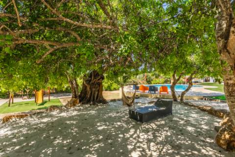 Boliqueime Moradia de Campo com 4+1 Quartos com18.350 m² de Terreno para Venda