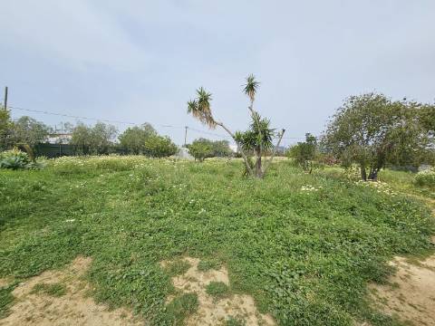 Moradia com 3+1 quartos e amplo terreno perto de Faro