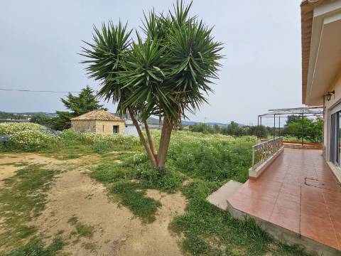 Moradia com 3+1 quartos e amplo terreno perto de Faro