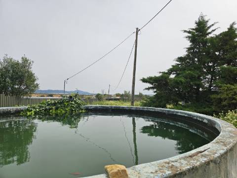 Moradia com 3+1 quartos e amplo terreno perto de Faro