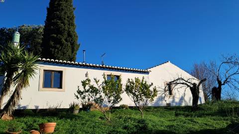 Moradia Renovada no Campo com Vistas Desafogadas - Terreno Urbano com Potencial de Expansão
