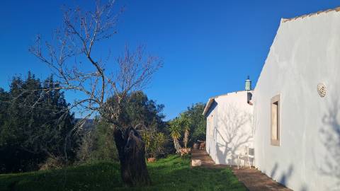 Moradia Renovada no Campo com Vistas Desafogadas - Terreno Urbano com Potencial de Expansão
