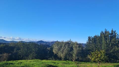 Moradia Renovada no Campo com Vistas Desafogadas - Terreno Urbano com Potencial de Expansão
