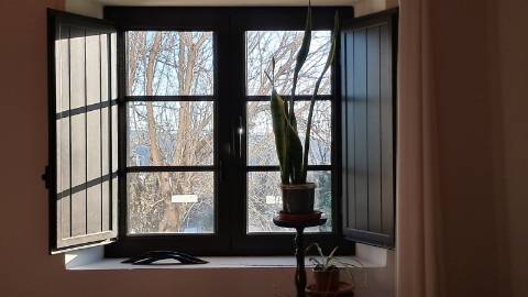 Moradia Renovada no Campo com Vistas Desafogadas - Terreno Urbano com Potencial de Expansão
