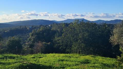 Moradia Renovada no Campo com Vistas Desafogadas - Terreno Urbano com Potencial de Expansão
