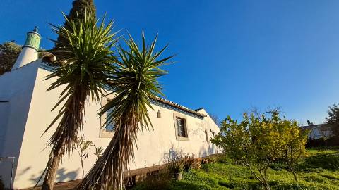 Moradia Renovada no Campo com Vistas Desafogadas - Terreno Urbano com Potencial de Expansão
